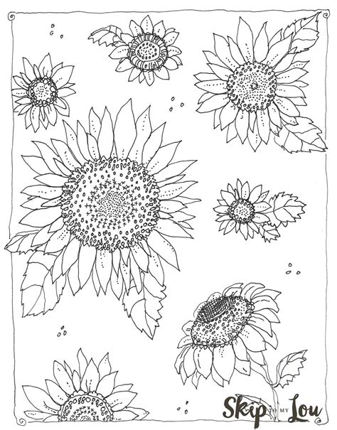 sunflower coloring page