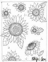 Coloring Sunflower Pages Kansas Cool Printable Adults Color Sunflowers Drawing Sheets Easy Lou Skip Adult Skiptomylou Designs Pattern Kids Detailed sketch template