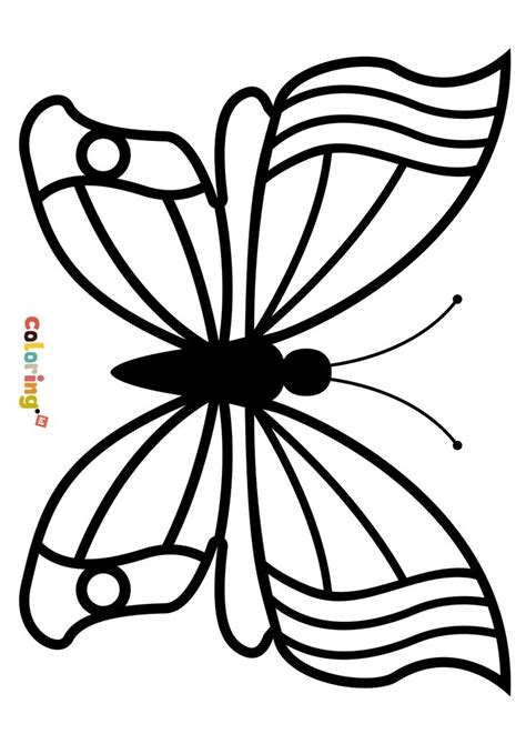 easy butterfly  color coloring page  animal coloring pages