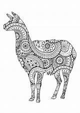 Lamas Zentangle Erwachsene Colorear Llamas Malbuch Fur Joli Justcolor sketch template