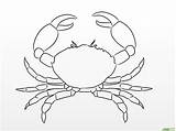 Crab Granchio Crabs Disegnare Colorare Dungeness Bleistift Fisch Px Disegni sketch template