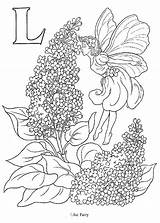 Fairy Inkspired Musings Coloring Pages Lilacs Adult Fairies Flori Adults Flower Alphabet Cu Hampshire Walt Whitman Print Color Desene Lilac sketch template