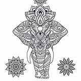 Stress Coloring Pages Drawing Relief Herbalshop Adult Anxiety Therapy Relieve Colouring Printable Elephant Animal Book Paintingvalley Drawings Cool Flowers sketch template
