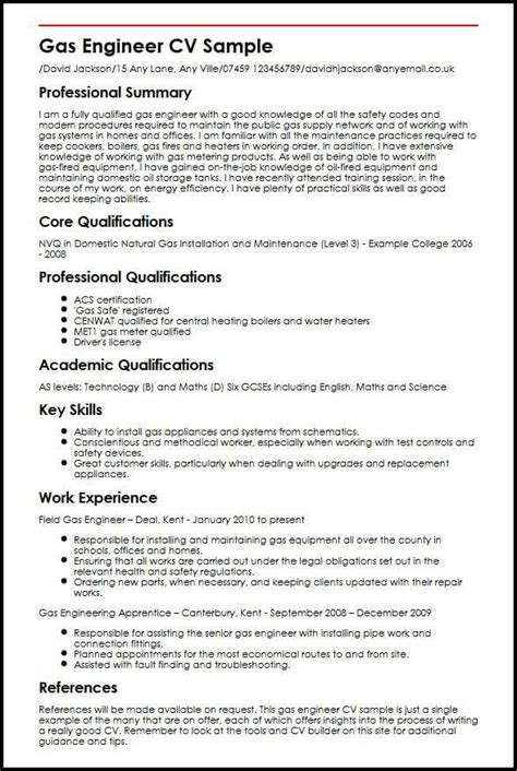 professional qualifications  cv   write  summary