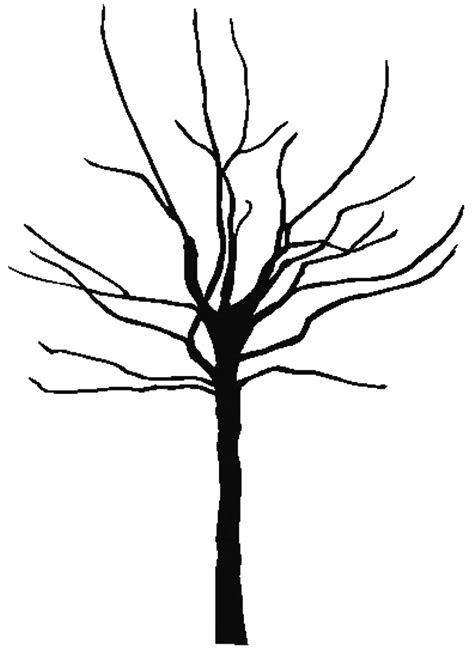 fall tree outline clipart