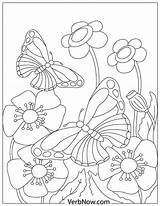 Butterflies Verbnow sketch template
