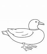 Duck Coloring Pages Kids Printable Printables Mallard Line Wood Print Drawing Ducks Template Drawings Bestcoloringpagesforkids Colouring Color Outline Draw Things sketch template