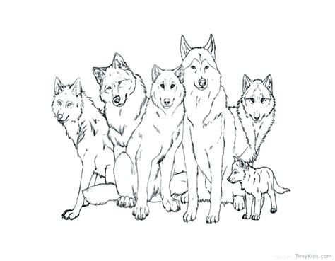 coloring pages  wolves  wings  getcoloringscom