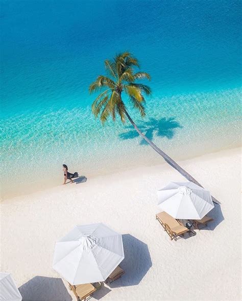 tropical resort tropical beaches tropical vibes tropical paradise sea paradise airbnb