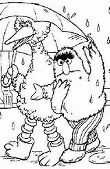 Sesame Street Coloring Bird Big Bert Fun Family sketch template