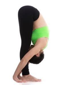 full body yoga workout  home avocadu