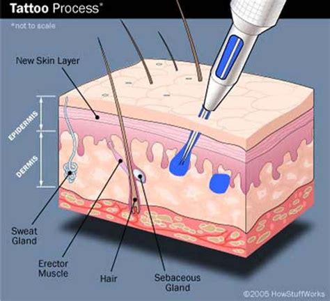 tattoos   cellular level motif