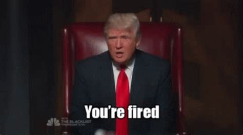 donald trump youre fired gif donald trump youre fired fired discover share gifs