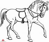 Horse Drawing Clipart Saddle Coloring Drawings Pages Bridle Outline Christmas Cliparts Horses Morgan Draw Clip Para Color Kids Printable Library sketch template