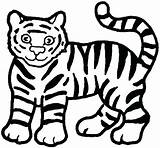 Tiger Drawing Easy Clipart Coloring Pages Simple Color Cartoon Cute Drawings Draw Printable Cub Preschool Kids Colouring Clipartbest Tigers Tail sketch template