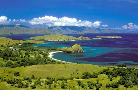 pulau komodo eksotisme hewan purba  nusa tenggara timur nusa