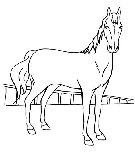 animal colouring pages  kids horses coloring pages