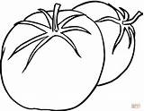 Tomato Coloring Tomatoes Pages Outline Color Other Behind Plant Colouring Clipart Red Printable Tomate Tomatos Paradicsom Cliparts Drawing Fruit Lapunk sketch template
