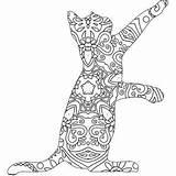 Mandala Kitten Coloring Playful Cat Cute Animal Pages Line Print Return Patterns Color Index Click Lively Outline sketch template