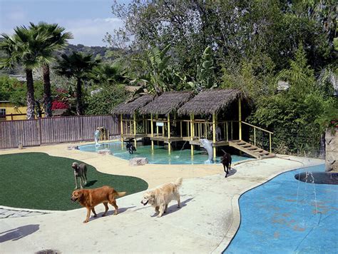 paradise ranch pet resort pet boarding  daycare magazine