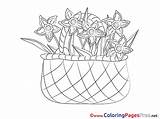 Coloring Pages Basket Sheet Title sketch template