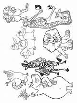 Madagascar Coloring Pages Cartoon Printable sketch template
