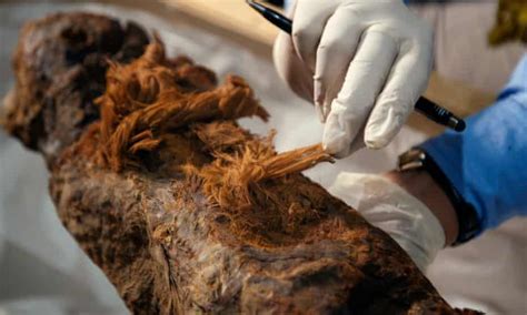 Mummy’s Older Than We Thought New Find Could Rewrite