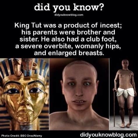king tut wtf fun facts funny facts weird facts
