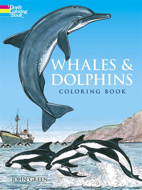 whales  dolphins coloring book