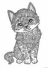 Coloring Zentangle Pages Adult Cat Cute Printable Print Color Book sketch template