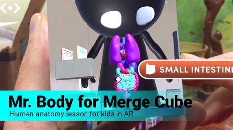 body  app review human anatomy lesson  kids ios