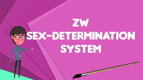 what is zw sex determination system explain zw sex determination
