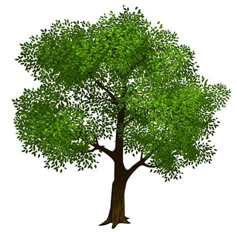tree clipart trees vector clip art tree photo graphics clipartingcom
