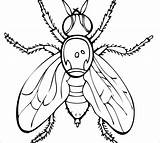 Coloring Pages Aphid Flying Aphids Coloringbay sketch template