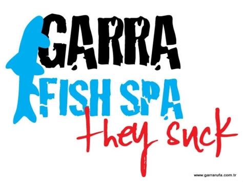 garra fish spa turkey istanbul daily city tours dimple travel