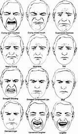 Expressions Drawing Expression Emotion Muscles Eyebrow sketch template