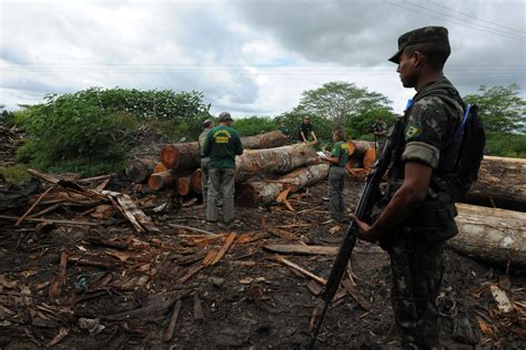 Brazil S Army Moves To Protect Indigenous Awá Tribe By