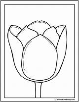 Tulip Printable Coloring Template Flower Pages Tulips Color Colorwithfuzzy Templates Printabletemplates Printables sketch template