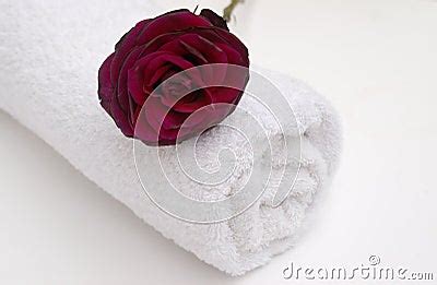 red rose spa royalty  stock photo image
