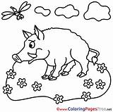 Boar Colouring Coloring Printable Kids Pages Sheets Farm Sheet Title Coloringpagesfree sketch template