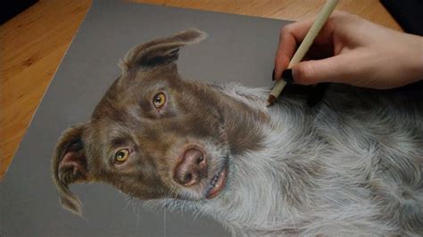 colored pencil drawing dog speed draw josymovies youtube