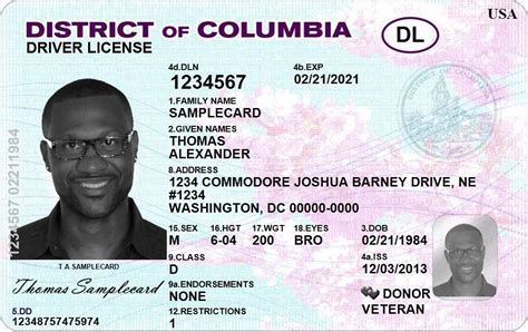 dc council  vote  giving drivers licenses  illegals