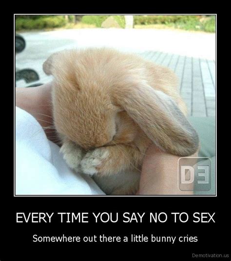 every time you say no to sexsomewhere out there a little bunny criesdemotivation demotivation