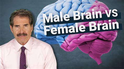 Rebel News Watch John Stossel The Science Around Male Brains Vs