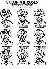 Roses Coloring Pages Meaning Crayola Guadalupe Lady Rose Color Lite Homeschool Story sketch template