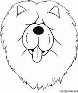 Coloring Chow Dog Face Pages Getcolorings Designlooter 400px 42kb sketch template