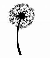 Dandelion Drawing Blowing Tattoo Dandelions Flower Wind Graphics Clipart Silhouette Outline Tattoos Flowers Designs Clip Leon Vector Template Puff Cute sketch template