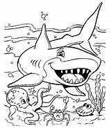 Shark Blue Coloring Pages Color Animals sketch template