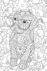 Dog Zen Sveglio Colorare Vetri Impagina Rilassarsi Animals sketch template