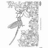 Coloring Hummingbird Adult Printable Pages Orientaltrading sketch template